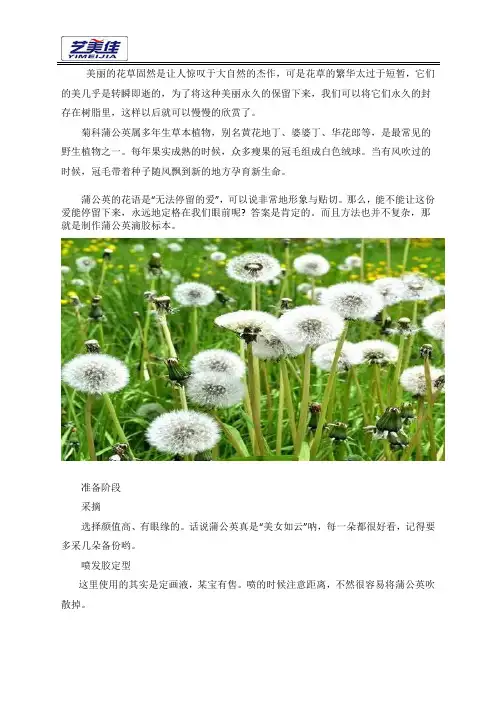 环氧水晶滴胶植物标本制作--永不飘落的蒲公英