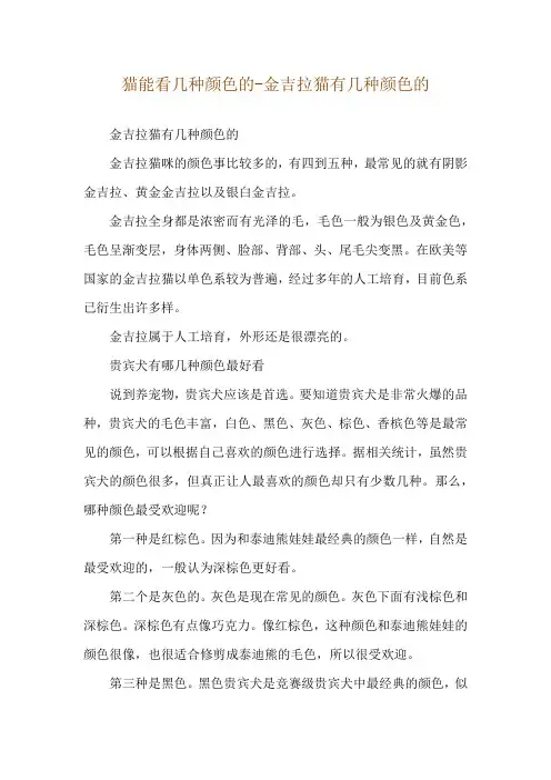 猫能看几种颜色的-金吉拉猫有几种颜色的