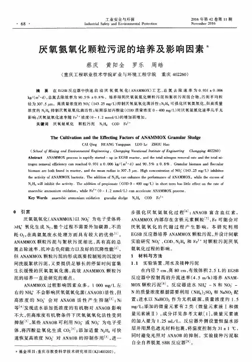 厌氧氨氧化颗粒污泥的培养及影响因素