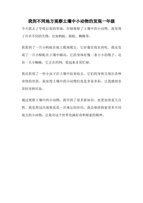 我到不同地方观察土壤中小动物的发现一年级