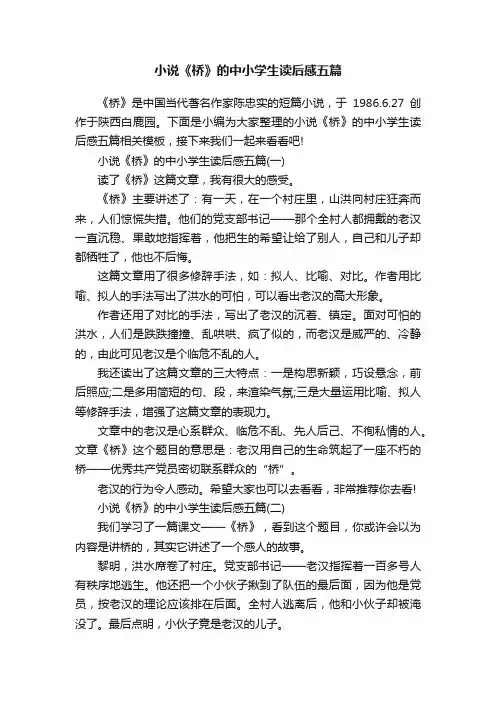 小说《桥》的中小学生读后感五篇