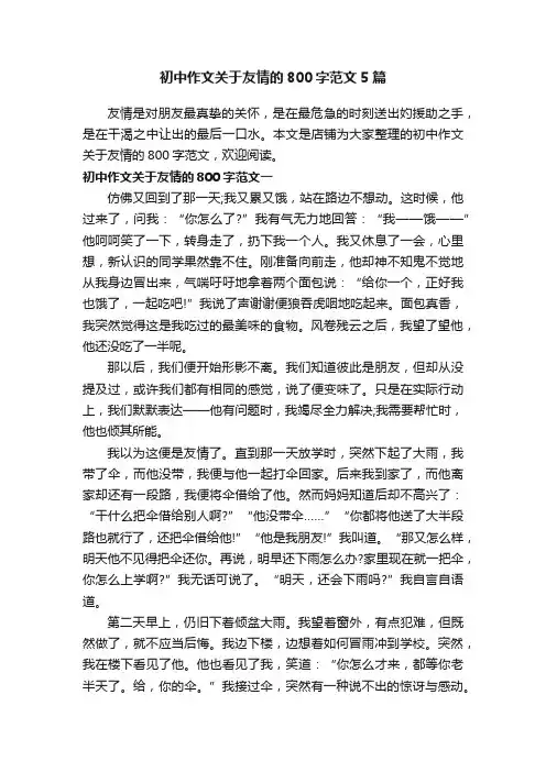 初中作文关于友情的800字范文5篇