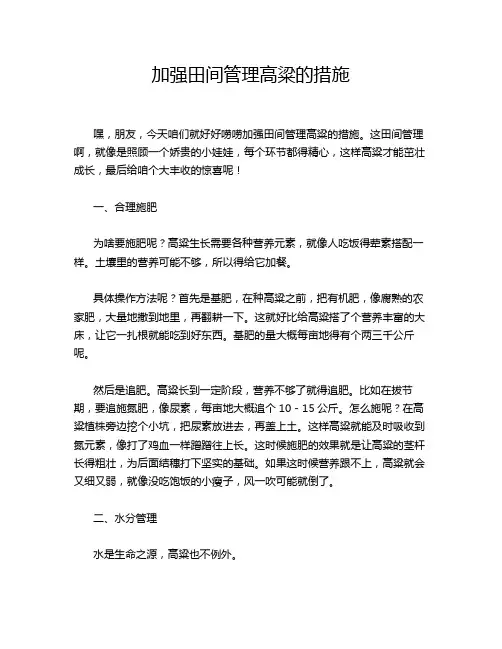 加强田间管理高粱的措施