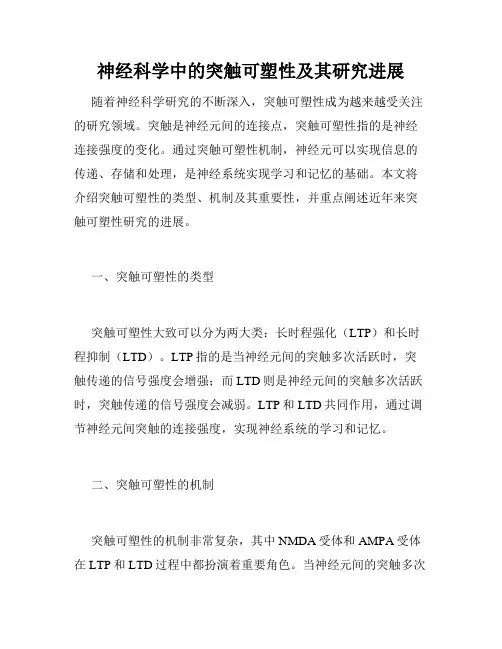 神经科学中的突触可塑性及其研究进展