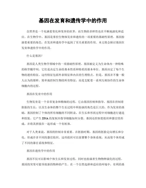 基因在发育和遗传学中的作用
