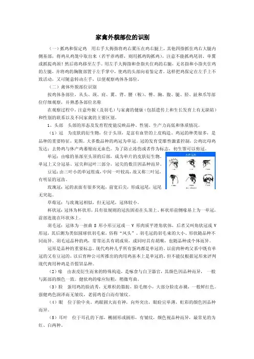 家禽外貌部位的识别