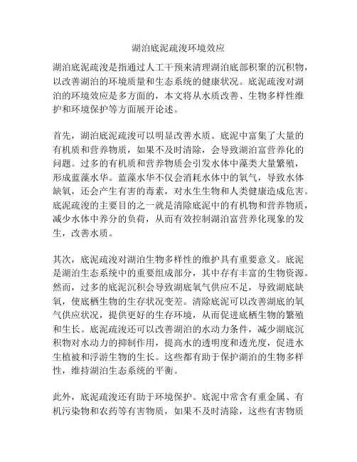 湖泊底泥疏浚环境效应