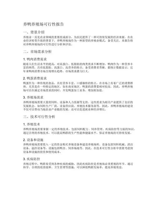 养鸭养殖场可行性报告