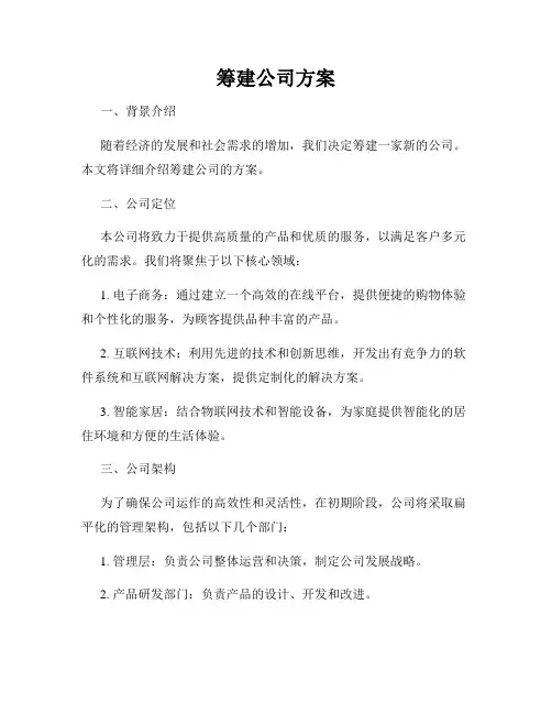 筹建公司方案
