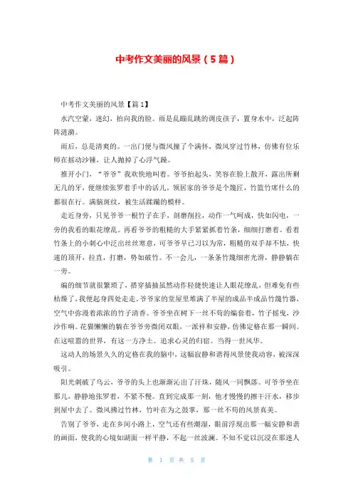 中考作文美丽的风景(5篇)