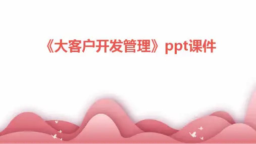 《大客户开发管理》课件