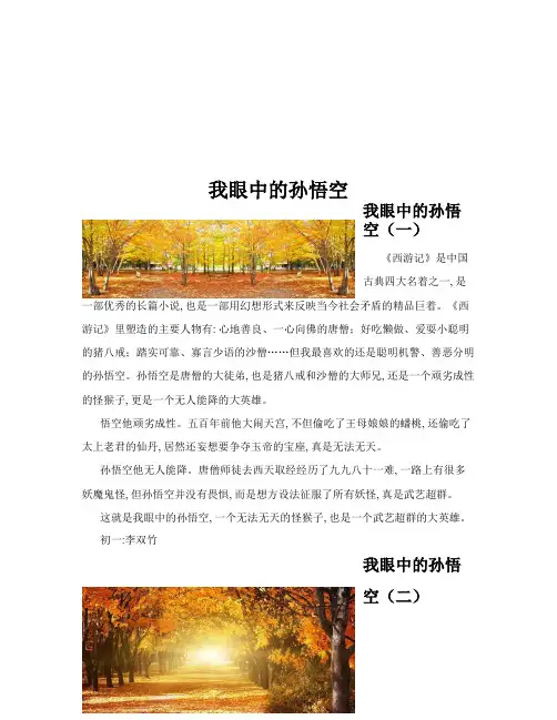 我眼中的孙悟空(共10篇)