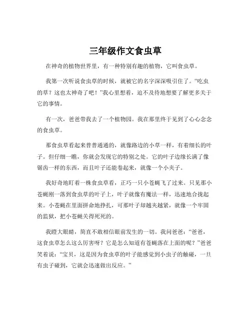 三年级作文食虫草