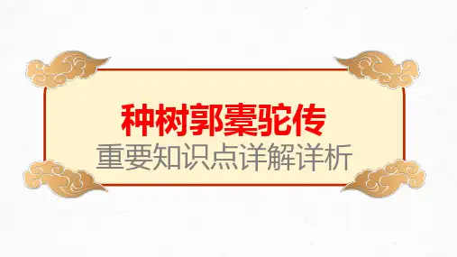 【统编版】《种树郭橐驼传》-高考文言文学习重要知识点详解详析