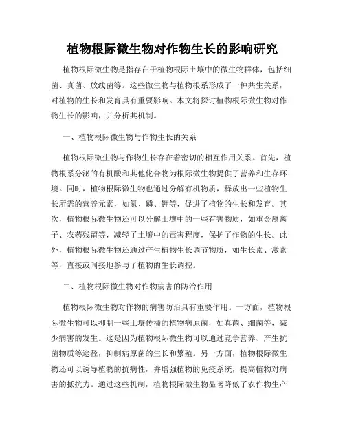 植物根际微生物对作物生长的影响研究