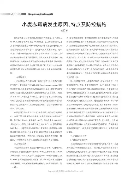 小麦赤霉病发生原因、特点及防控措施