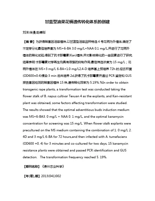 甘蓝型油菜花柄遗传转化体系的创建