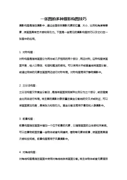 一张图的多种摄影构图技巧