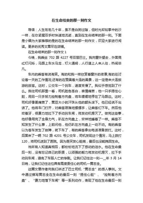 在生命结束的那一刻作文