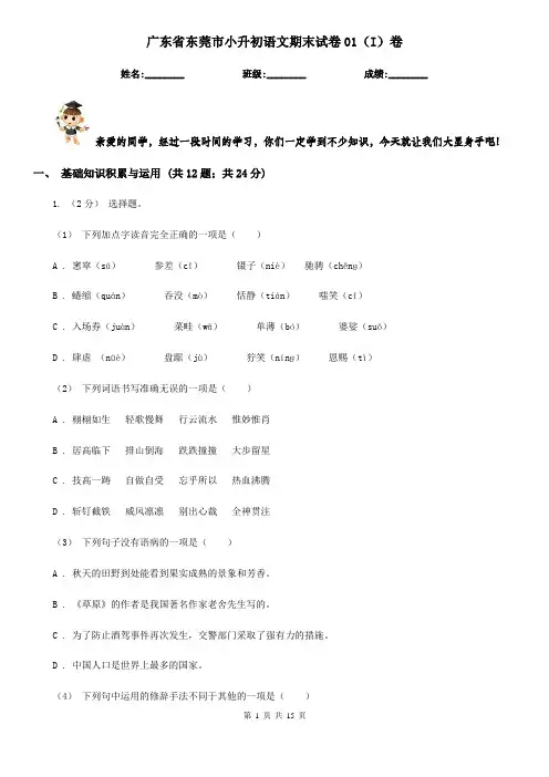 广东省东莞市小升初语文期末试卷01(I)卷
