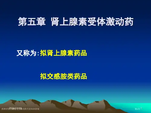 药理学肾上腺素受体激动药专业知识讲座专家讲座