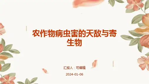 农作物病虫害的天敌与寄生物