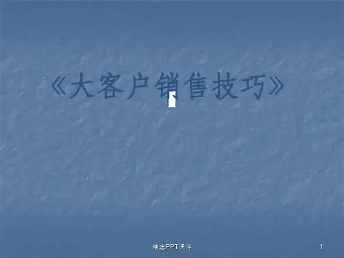 大客户销售技巧ppt课件