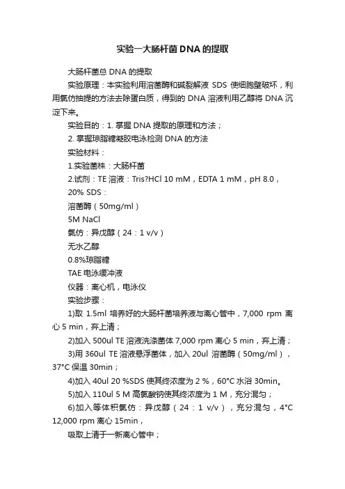实验一大肠杆菌DNA的提取