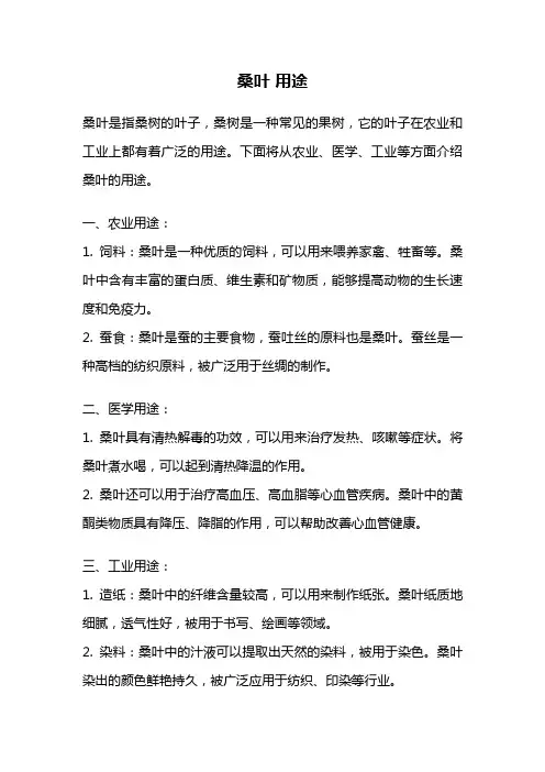 桑叶 用途