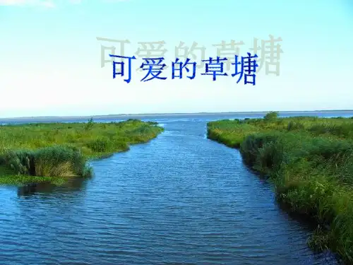 可爱的草塘