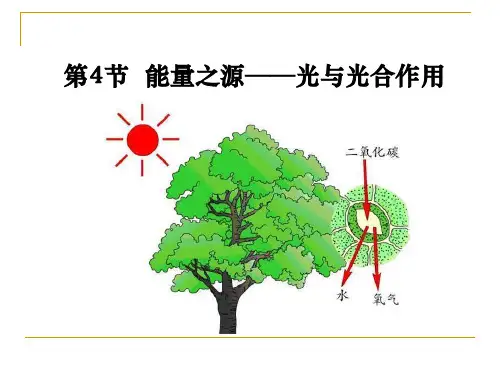 5.4 能量之源光与光合作用 课件【新教材】人教版(2019)高中生物必修一