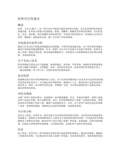 杜仲可行性报告
