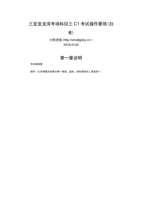 三亚亚龙湾考场科目三C1考试操作要领(白考)