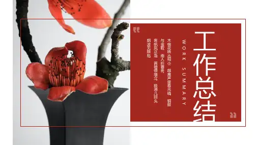 蓝色简约工作总结汇报