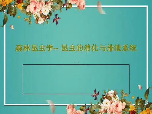 森林昆虫学-- 昆虫的消化与排泄系统共19页