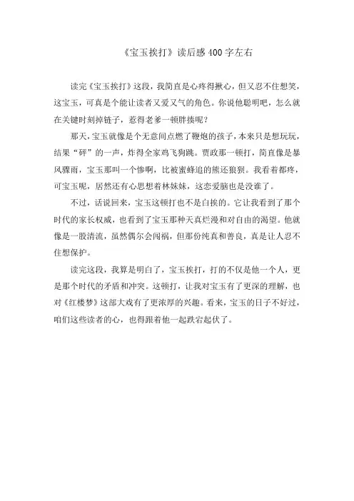 《宝玉挨打》读后感400字左右