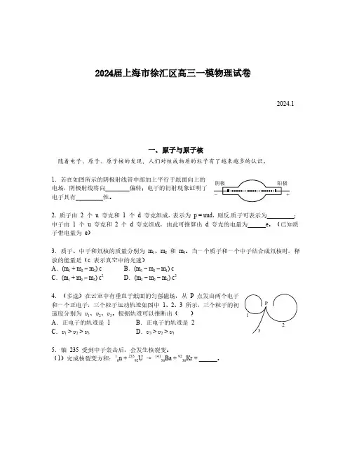 2024届上海市徐汇区高三一模物理试卷(含答案)