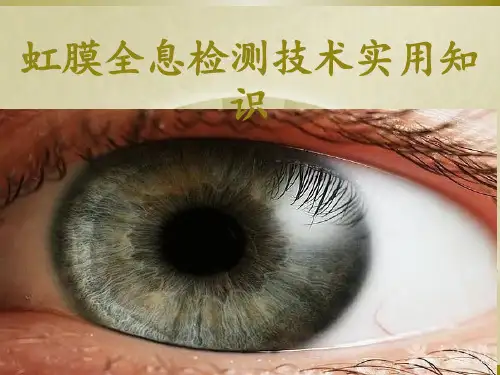 虹膜全息检测技术实用知识