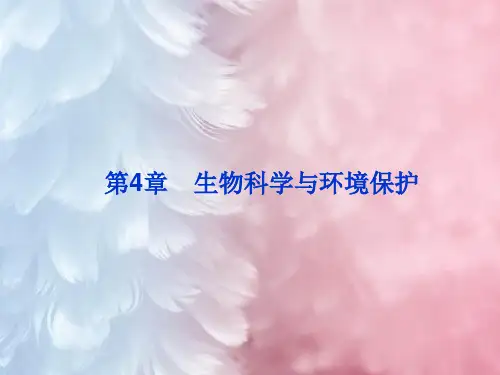 生物净化的原理及其应用PPT教学课件