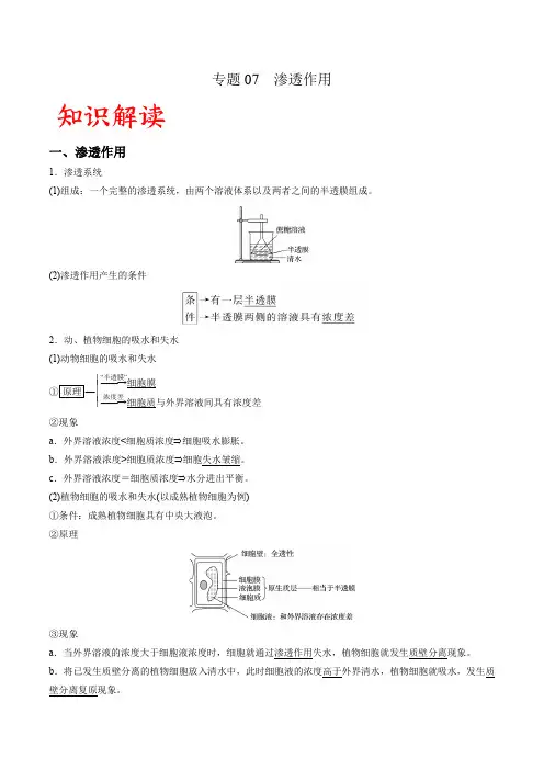 专题07 渗透作用(解析版)