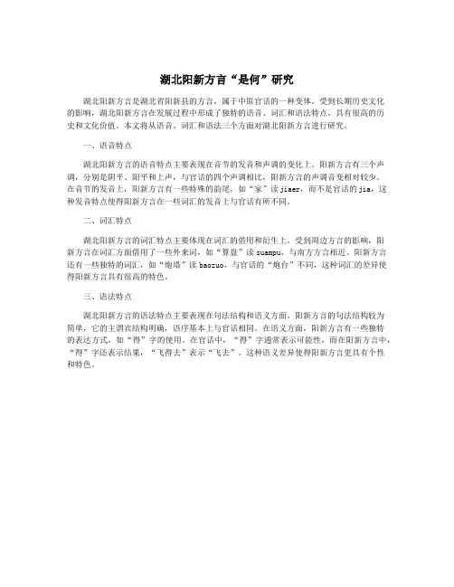 湖北阳新方言“是何”研究