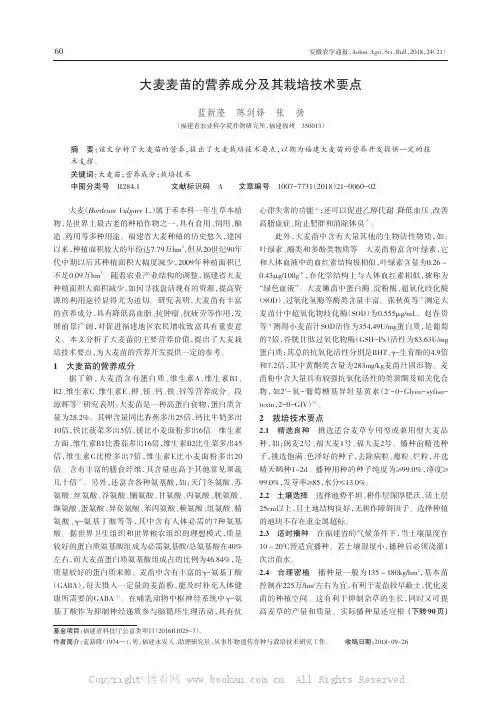 大麦麦苗的营养成分及其栽培技术要点