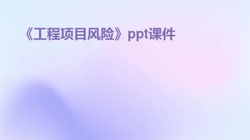 《工程项目风险》课件