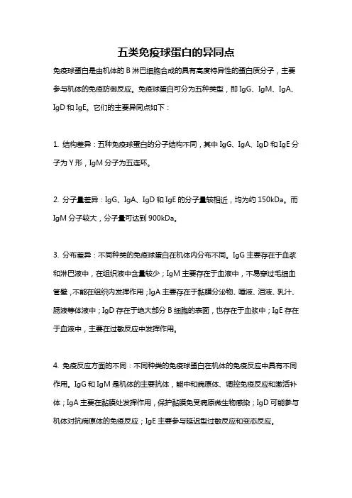 五类免疫球蛋白的异同点