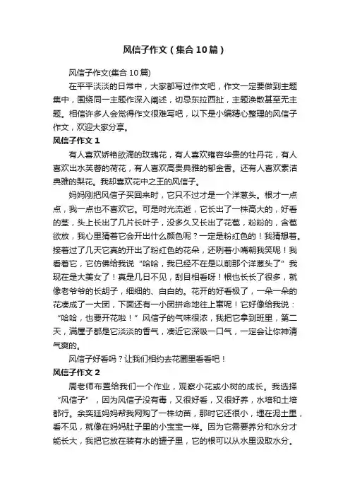 风信子作文（集合10篇）