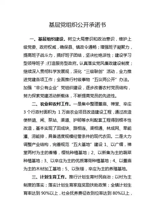 基层党组织公开承诺书