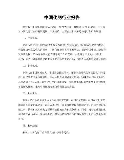 中国化肥行业报告