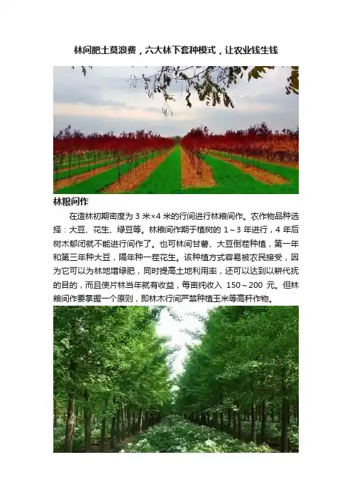 林间肥土莫浪费，六大林下套种模式，让农业钱生钱