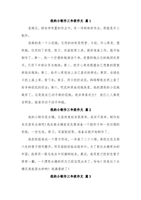 记一次手工制作的作文三年级