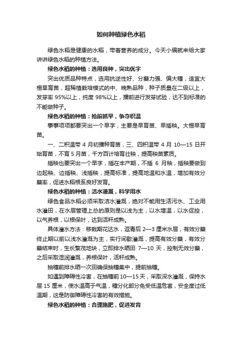 如何种植绿色水稻